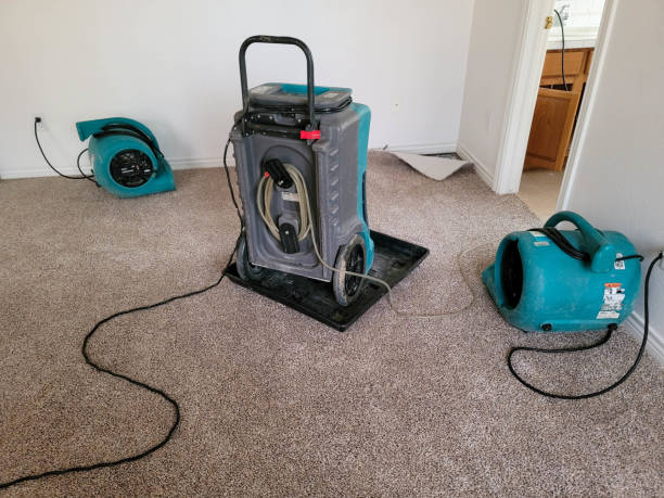 Best 24/7 water damage repair  in Belmont Estates, VA