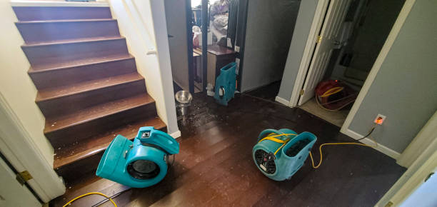 Best Local water damage restoration  in Belmont Estates, VA