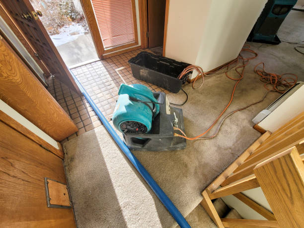 Best Water damage restoration experts  in Belmont Estates, VA