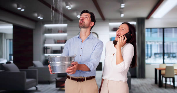 Best Water damage restoration services  in Belmont Estates, VA